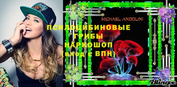 Альфа ПВП Белокуриха