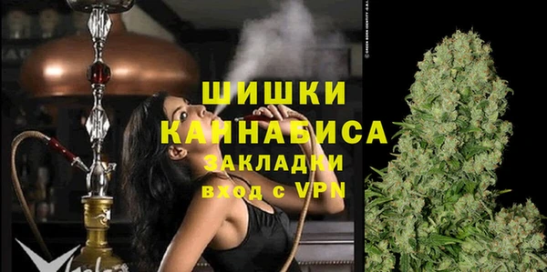 Альфа ПВП Белокуриха