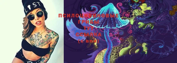 Альфа ПВП Белокуриха