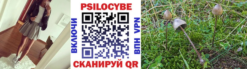 Галлюциногенные грибы Psilocybine cubensis Видное