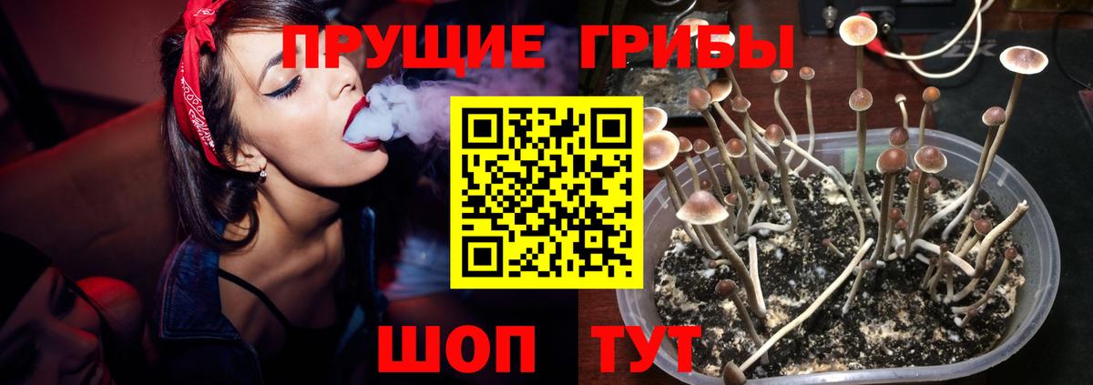 Видное  Псилоцибиновые грибы мухоморы  Вход с VPN  Псилоцибиновые грибы ЛСД 